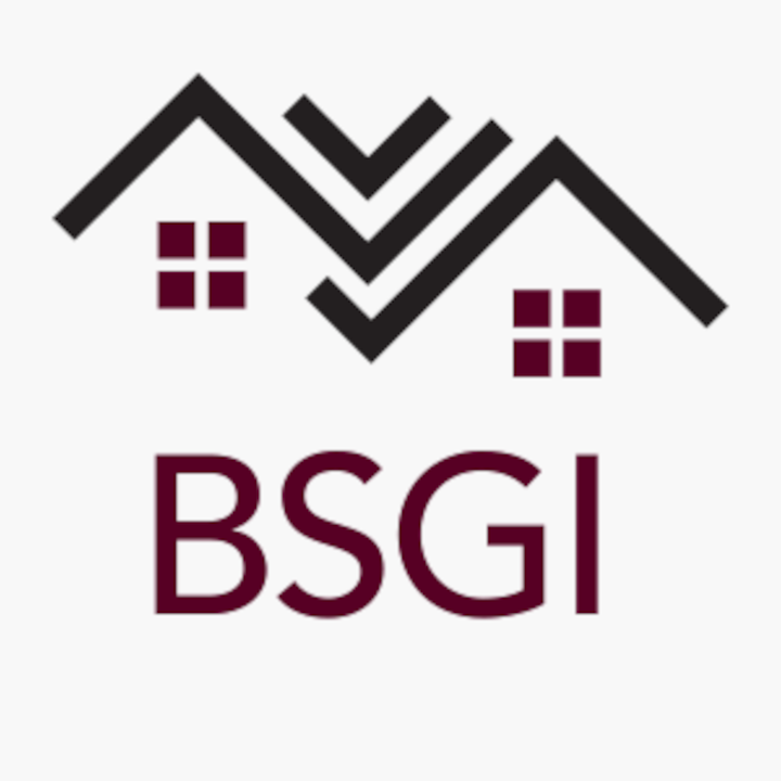 Logo de BSGI
